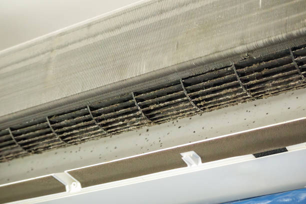 Best Ventilation Cleaning Services  in Orfordville, WI